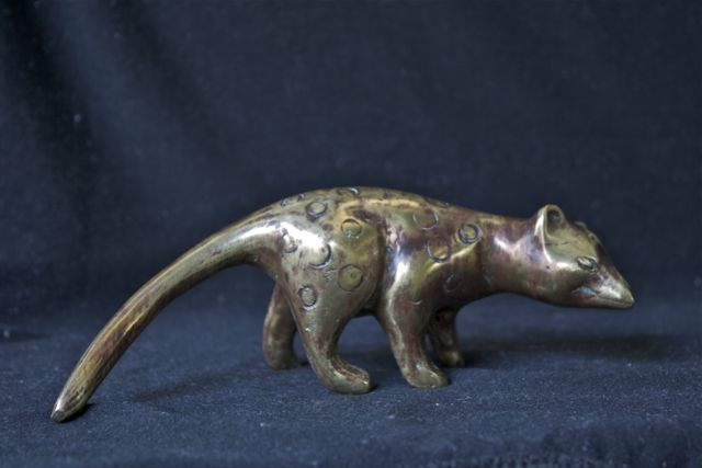 Bronze Quoll